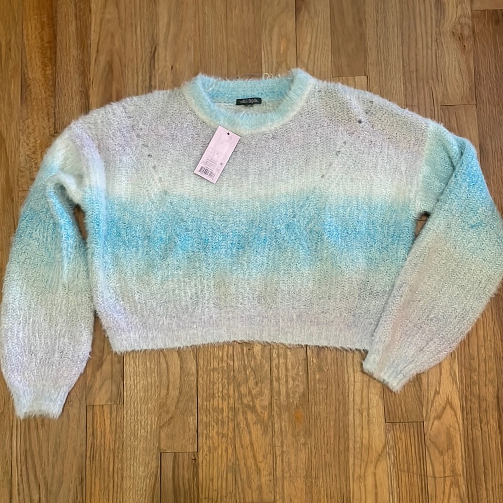 NWT wild fable cropped sweater